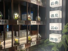 -芸山季·云南山珍菌火锅(人民广场来福士店)