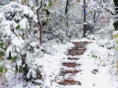 -杭州半山国家森林公园