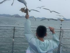 -海驴岛(荣成市)
