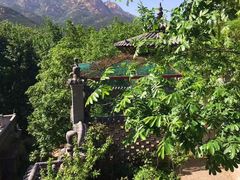 -老张烤羊(王哥庄店)