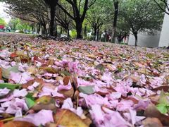 -江南大学(蠡湖校区)