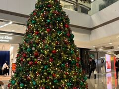 -Apple 零售店(Canton Road)