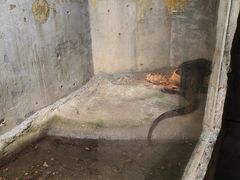 -深圳野生动物园