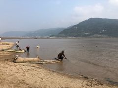 -北岐滩涂