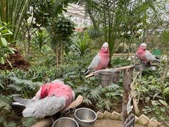 -南宫五洲植物乐园