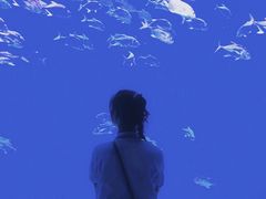 -哈尔滨波塞冬海底世界