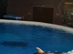 -珠海长隆海洋王国