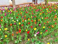 景点-长春公园(普阳街道)