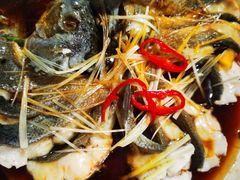 -煲来饱去冷水鱼