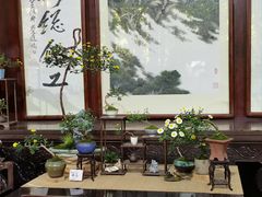 -惠山古镇·寄畅园