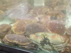 -盒马渔市餐厅