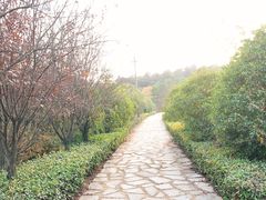 -游子山休闲旅游区