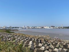 -上海滨江森林公园
