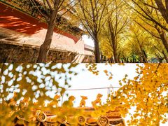 -故宫博物院(故宫)