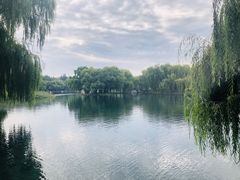 -百脉泉景区