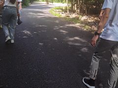 -大连天门山国家森林公园
