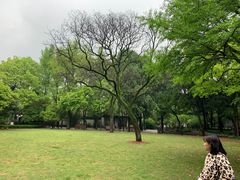 -汇龙潭