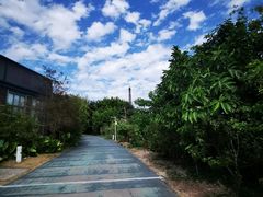 -华侨城湿地公园