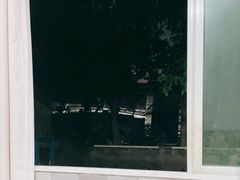 -盘龙黄鳝(盘龙居店)