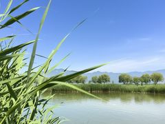 -野鸭湖国家湿地公园