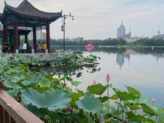 -莲花池公园
