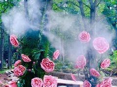 -洛阳白云山景区