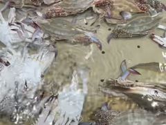 -永辉线上超市(鲁谷店)