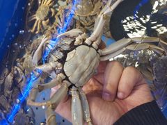 -澜悦港海鲜体验主题餐厅
