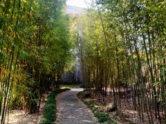 -福建鲤鱼洲酒店