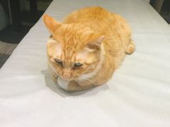 -小时光咖啡馆(开森度假森林店)