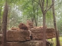 -秦皇岛野生动物园