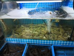 -老东镇啤酒屋海鲜加工·蒸汽海鲜·海鲜烧烤(台东店)
