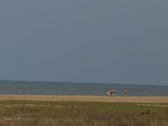 -白沙门生态公园