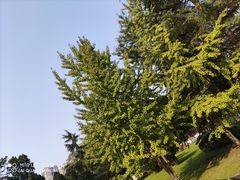 -四川大学(望江校区)