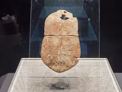 -河南博物院
