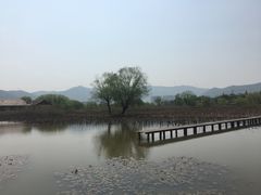 -长兴太湖图影湿地文化园