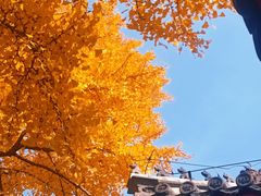 -承恩寺
