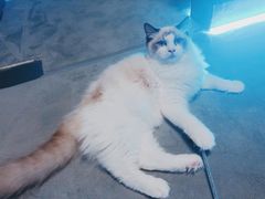 -零纪元VR体验馆·桌游(黄浦店)