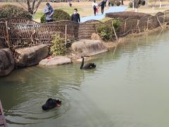 -径山花海