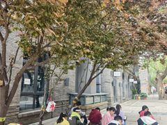 -绿地·中山里