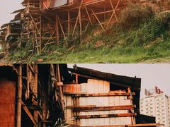-菜园坝水果市场