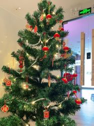 -防空洞舞蹈·瑜伽