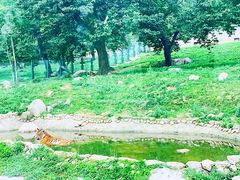 -西安秦岭野生动物园