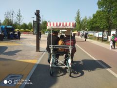 -武清南湖绿博园