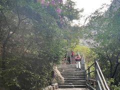 -丽江虎跳峡景区-售票处