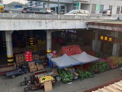 -海吉星国际农产品物流管理有限公司