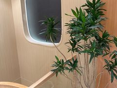 -瑶舍头疗·瑶浴·芳香热石SPA(五洲国际店)