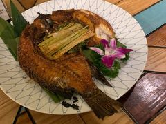 -紫滇源云南生态菜(丹凤街店)