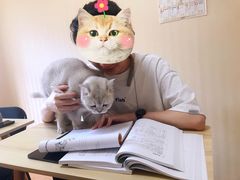 -猫音日语留学培训