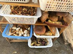 -草墩罗非鱼庄•野生菌•腊排骨(七星街上段店)